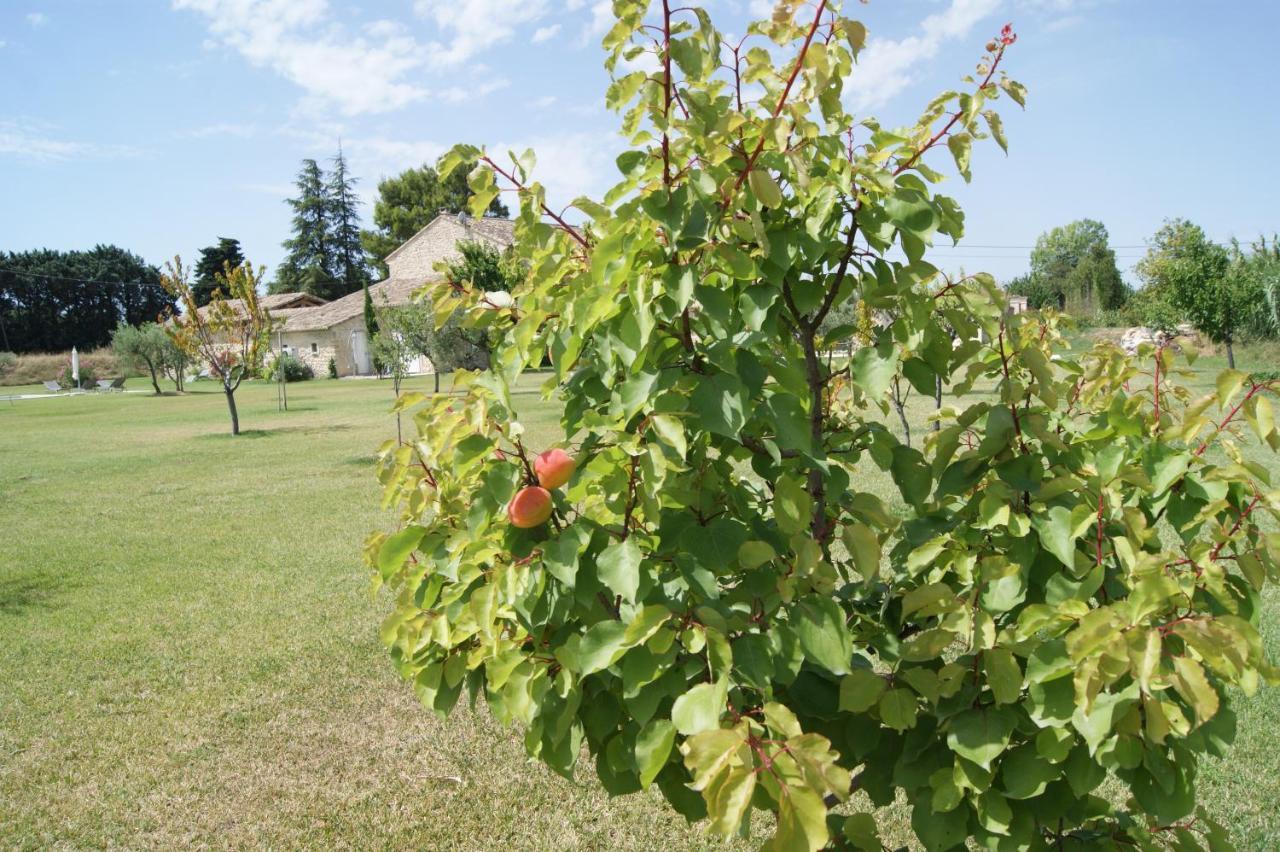 B&B Dans Mas En Pierres Robion en Luberon Eksteriør billede